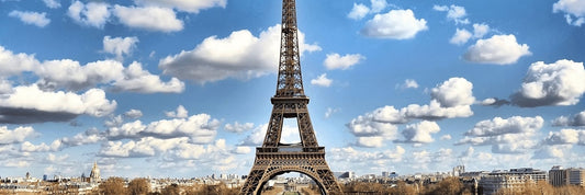 Paris Marathon - Thersipo