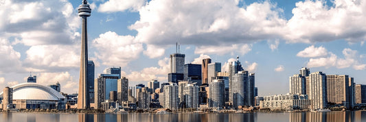 Toronto Marathon - Thersipo